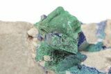 Fibrous Malachite Crystals & Azurite on Matrix - Morocco #215037-1